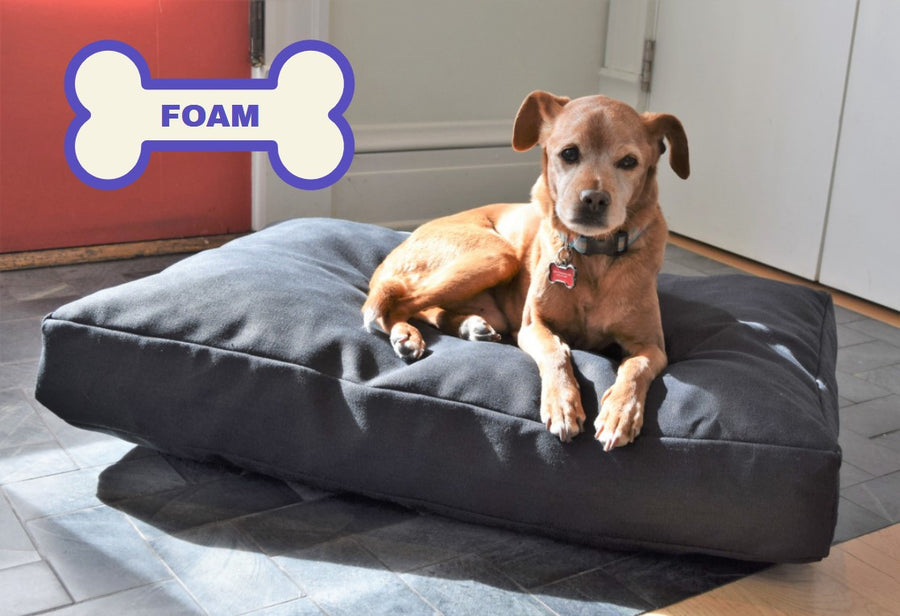 Premium hemp dog bed with lightweight CertiPUR foam fill in natural gray, small dog lounging