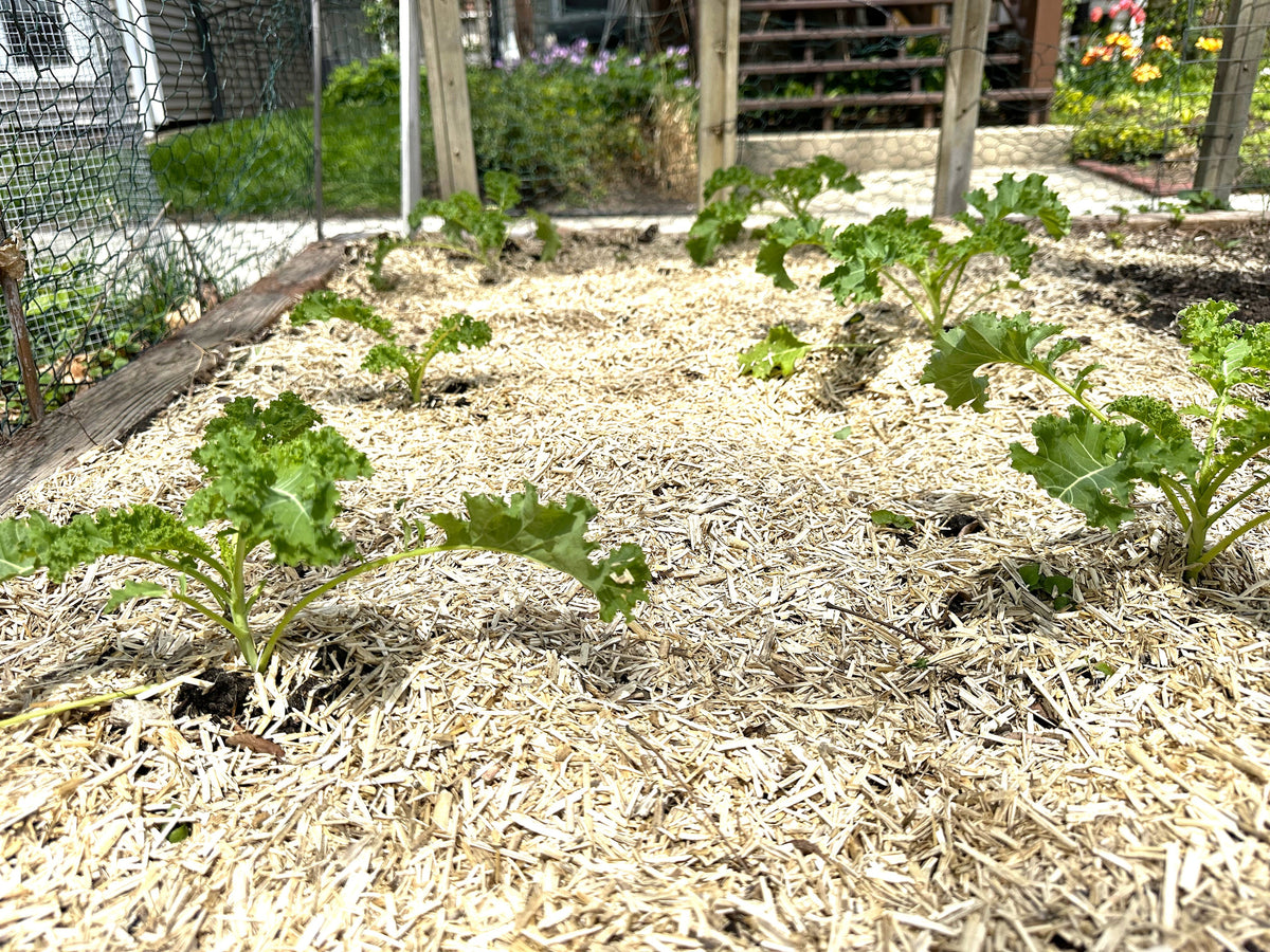 Gardening