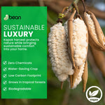 Kapok fibers in kapok tree seed pods  with 'bean' brand label and sustainability claims on a green background