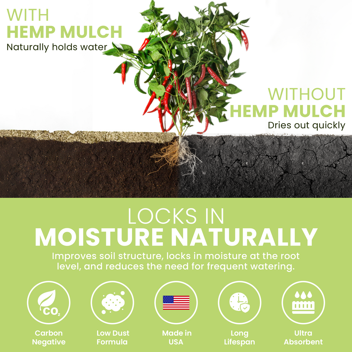 Hemp mulch infographic showing moisture retention and weed suppression benefits