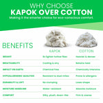 Comparison chart of kapok and cotton benefits on a green and white background