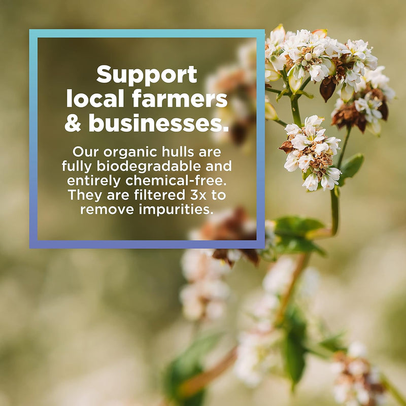 Flowering Buckwheat plant and description of organic hulls and supporting local farmers