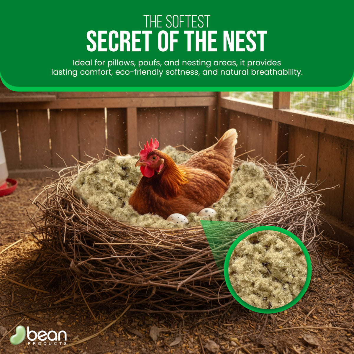 Chicken nesting with hemp fiber fill demonstrating use as poultry nesting material
