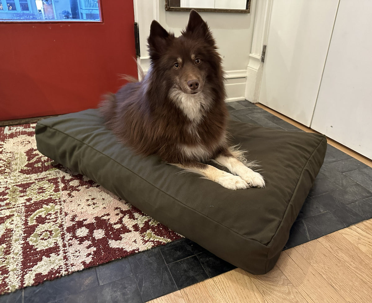 Dog lying on charcoal gray cotton duck canvas dog bed with supportive foam filling