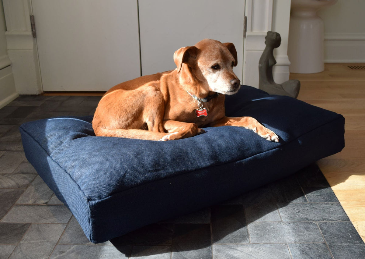 Dog lying on dark blue hemp dog bed cover on wooden floor