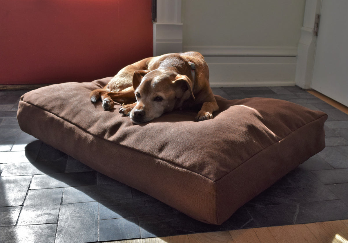 Dog sleeping on brown hemp dog bed with plush organic latex foam filling