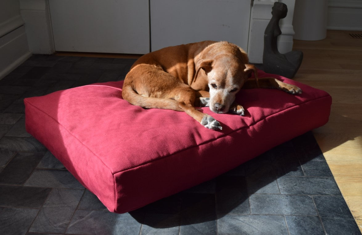 Dog resting on red hemp dog bed with soft breathable fabric and foam support