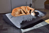 Premium Hemp Dog Bed - Lightweight CertiPUR Foam Fill
