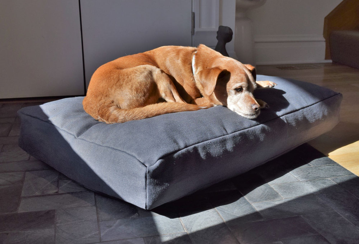 Dog relaxing on charcoal hemp dog bed with supportive and comfortable design