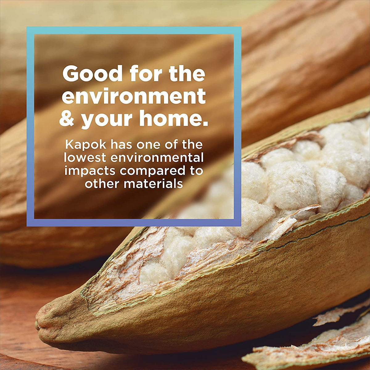 Kapok fiber from seed pod shell, sustainable plant based stuffing material good for eco friendly homes