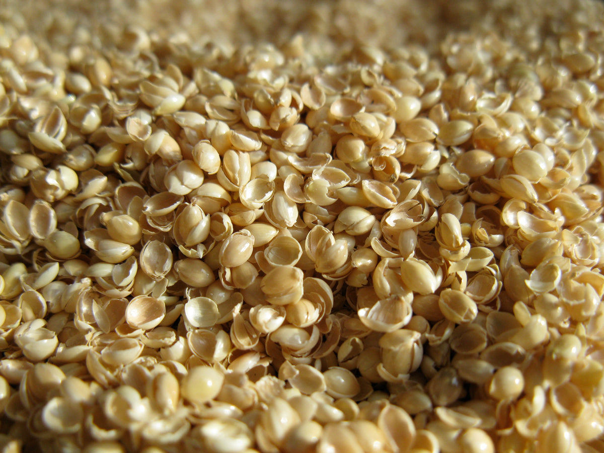 Macro view of buckwheat hulls used as natural filling in organic multi-grain sleep pillow
